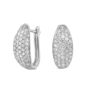 Silver Earring
