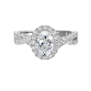 Shimmers of entwined shank with a classic halo and round center diamond is sure to delight you.