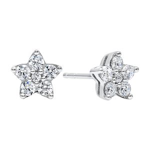 Silver Diamond 1/20Ctw Earring