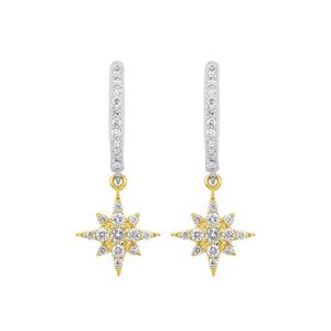 14Kt White Yellow Gold Diamond 1/4Ctw Earring