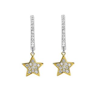 14Kt White Yellow Gold Diamond 1/4Ctw Earring