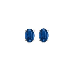 14Kt White Gold Sapphire 1/2Ctw Earring